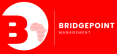 bridgepoint logo (2)